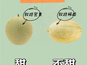 699su 黑料吃瓜不打烊，优质水果每日上新，快来选购吧