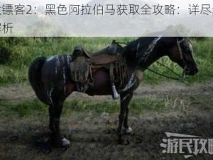 荒野大镖客2：黑色阿拉伯马获取全攻略：详尽步骤与技巧解析