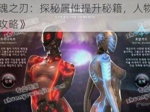 《剑魂之刃：探秘属性提升秘籍，人物战力飙升攻略》