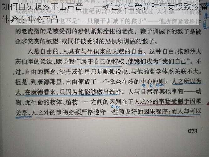 如何自罚超疼不出声音——一款让你在受罚时享受极致疼痛体验的神秘产品