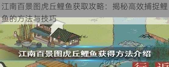 江南百景图虎丘鲤鱼获取攻略：揭秘高效捕捉鲤鱼的方法与技巧