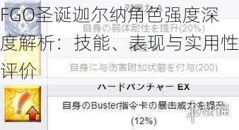 FGO圣诞迦尔纳角色强度深度解析：技能、表现与实用性评价