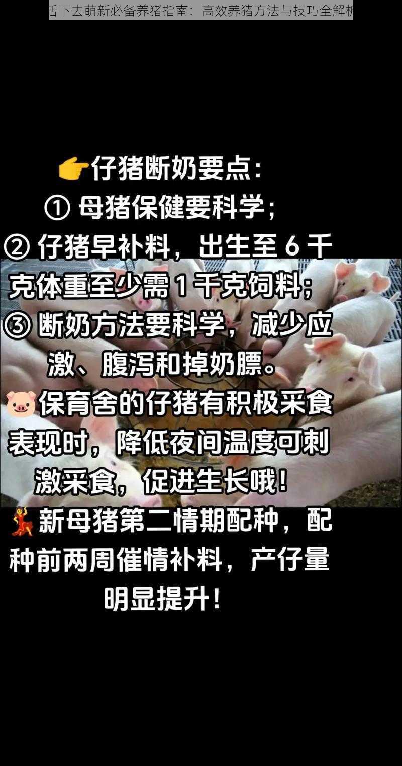 活下去萌新必备养猪指南：高效养猪方法与技巧全解析